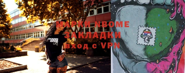 винт Алзамай