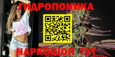 прущие грибы Кинель