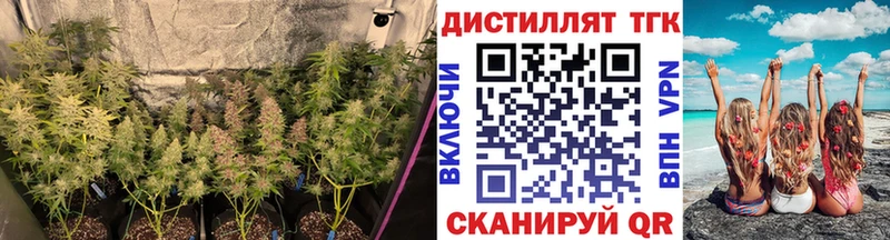 закладки  Ковров  Дистиллят ТГК гашишное масло 