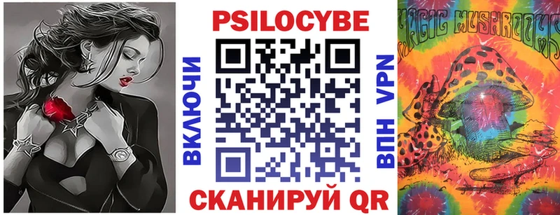 kraken ССЫЛКА  Ковров  Псилоцибиновые грибы GOLDEN TEACHER 