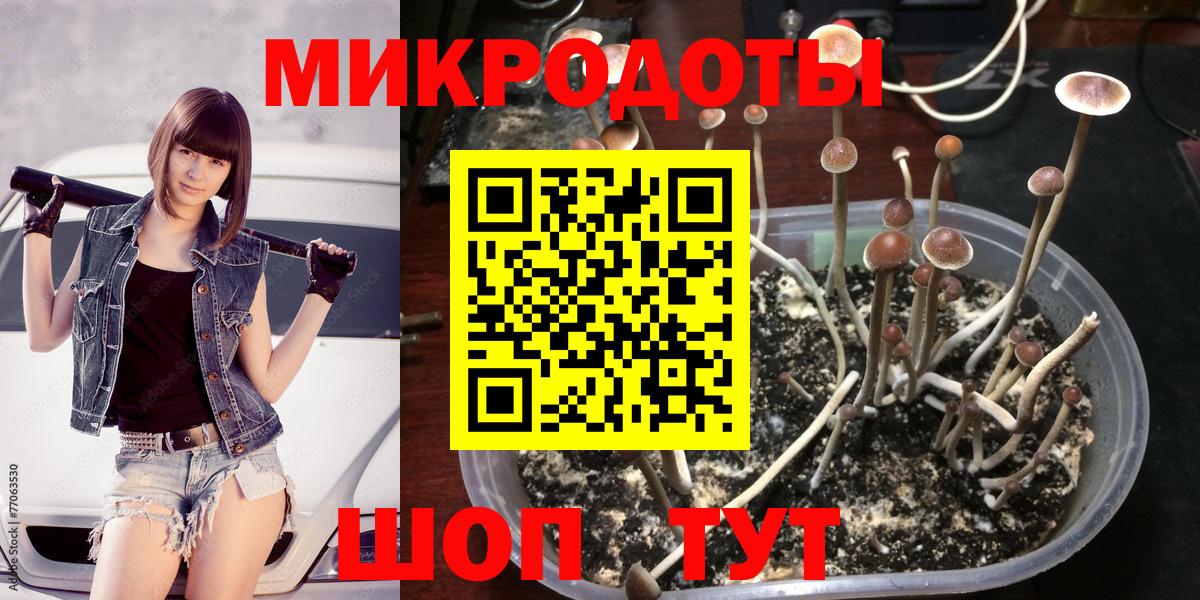 Ковров  Псилоцибиновые грибы Cubensis  Вход с VPN  Галлюциногенные грибы Psilocybe 